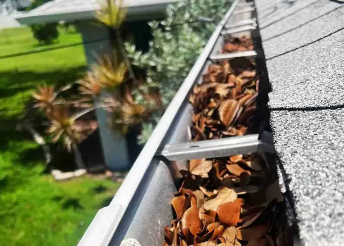Saluda gutter cleaning home page